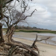 The beach of the Rio de la Plata close to the Vineyard Cache -  Wood and Wine, where we spent three nights